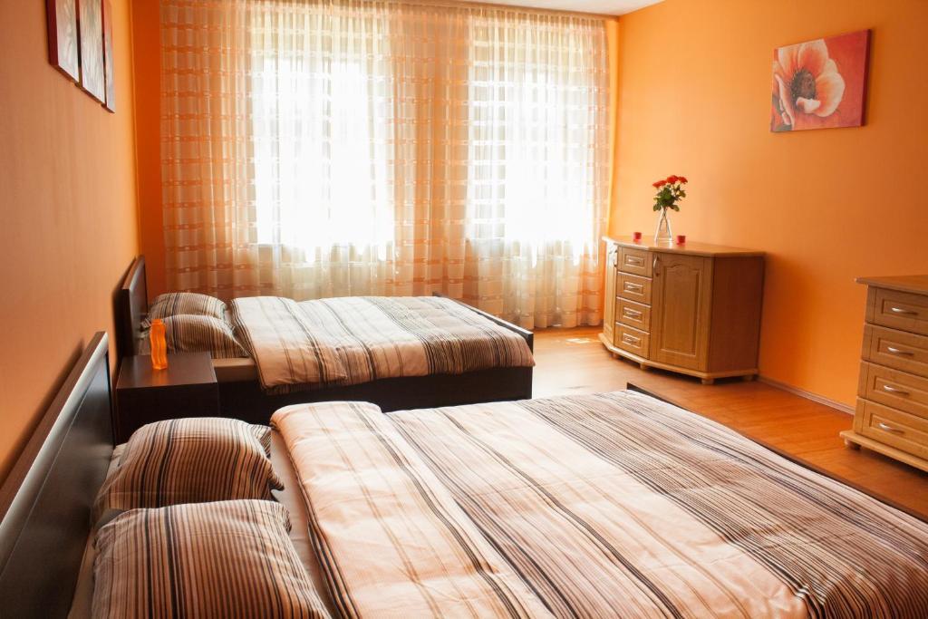 Absynt Hostel Wroclaw
